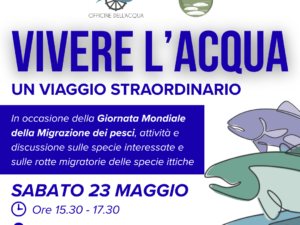 Laboratorio - UN VIAGGIO STRAORDINARIO